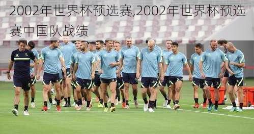 2002年世界杯预选赛,2002年世界杯预选赛中国队战绩
