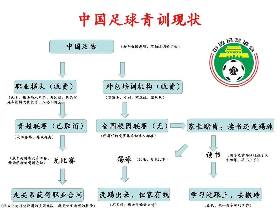 波兰足球青训体系现状