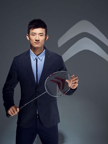 谌龙个人资料介绍,谌龙个人资料介绍图片