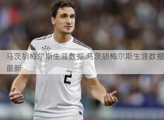 马茨胡梅尔斯生涯数据,马茨胡梅尔斯生涯数据最新