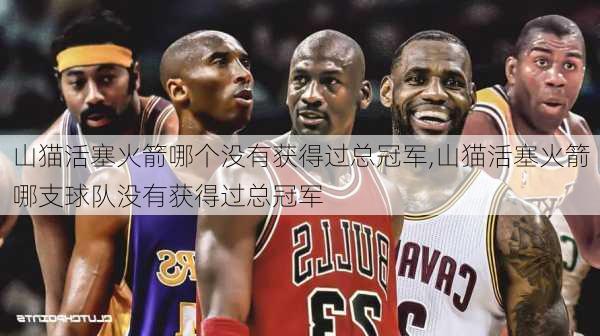 山猫活塞火箭哪个没有获得过总冠军,山猫活塞火箭哪支球队没有获得过总冠军