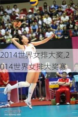 2014世界女排大奖,2014世界女排大奖赛