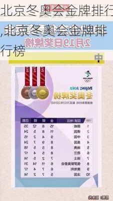 北京冬奥会金牌排行,北京冬奥会金牌排行榜