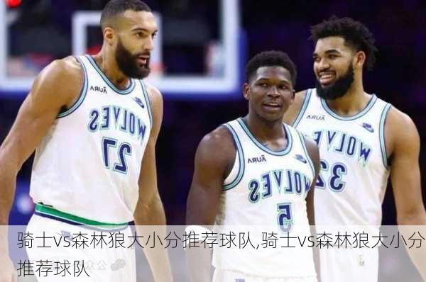 骑士vs森林狼大小分推荐球队,骑士vs森林狼大小分推荐球队