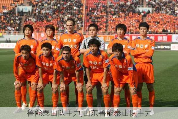 鲁能泰山队主力,山东鲁能泰山队主力
