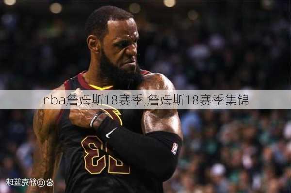 nba詹姆斯18赛季,詹姆斯18赛季集锦