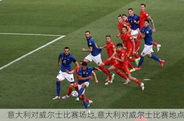 意大利对威尔士比赛场地,意大利对威尔士比赛地点