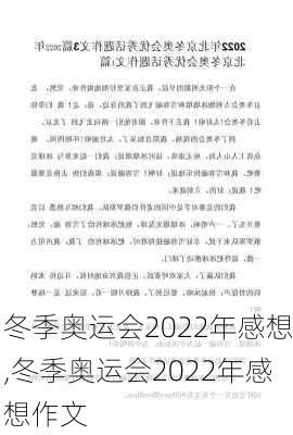 冬季奥运会2022年感想,冬季奥运会2022年感想作文