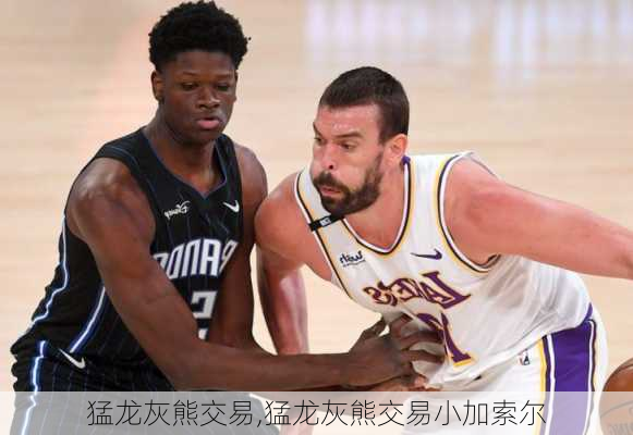 猛龙灰熊交易,猛龙灰熊交易小加索尔