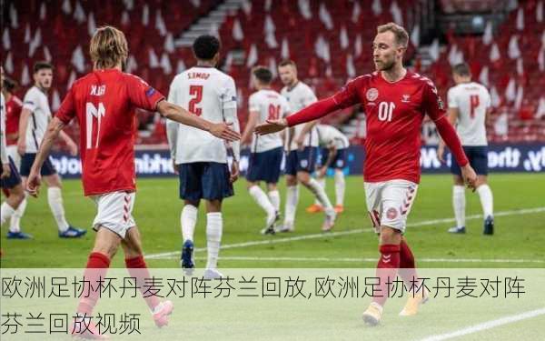 欧洲足协杯丹麦对阵芬兰回放,欧洲足协杯丹麦对阵芬兰回放视频
