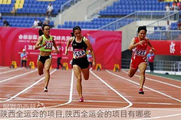 陕西全运会的项目,陕西全运会的项目有哪些