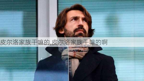 皮尔洛家族干嘛的,皮尔洛家族干嘛的啊