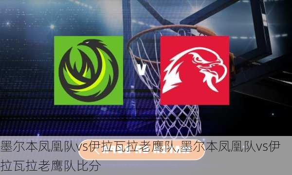 墨尔本凤凰队vs伊拉瓦拉老鹰队,墨尔本凤凰队vs伊拉瓦拉老鹰队比分