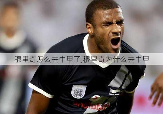 穆里奇怎么去中甲了,穆里奇为什么去中甲