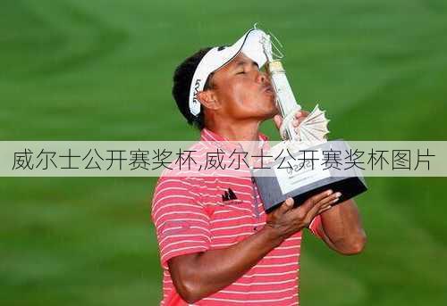 威尔士公开赛奖杯,威尔士公开赛奖杯图片