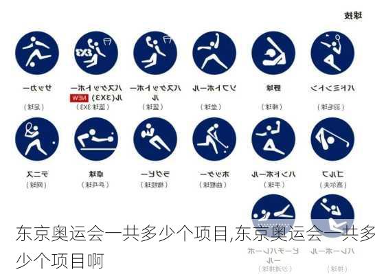 东京奥运会一共多少个项目,东京奥运会一共多少个项目啊