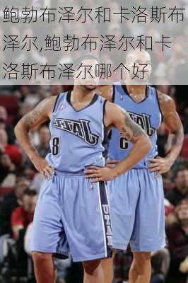 鲍勃布泽尔和卡洛斯布泽尔,鲍勃布泽尔和卡洛斯布泽尔哪个好