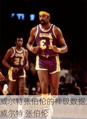 威尔特张伯伦的神级数据,威尔特 张伯伦