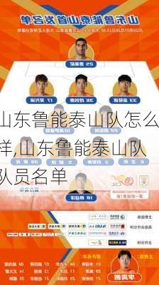 山东鲁能泰山队怎么样,山东鲁能泰山队队员名单