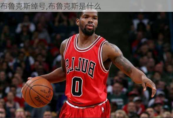 布鲁克斯绰号,布鲁克斯是什么
