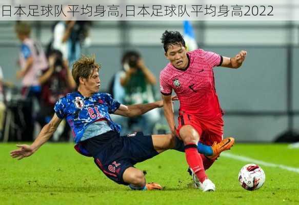 日本足球队平均身高,日本足球队平均身高2022