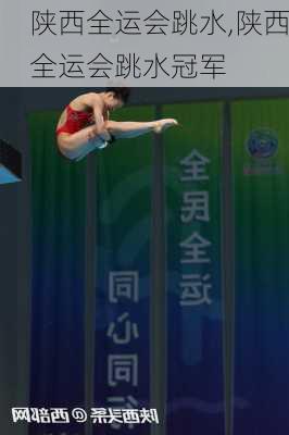 陕西全运会跳水,陕西全运会跳水冠军