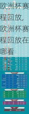 欧洲杯赛程回放,欧洲杯赛程回放在哪看