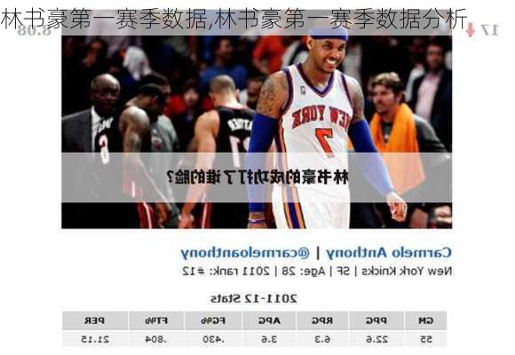 林书豪第一赛季数据,林书豪第一赛季数据分析