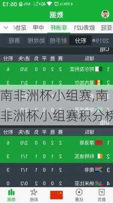 南非洲杯小组赛,南非洲杯小组赛积分榜