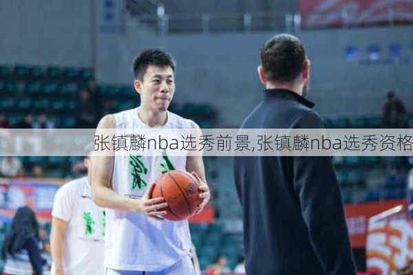张镇麟nba选秀前景,张镇麟nba选秀资格
