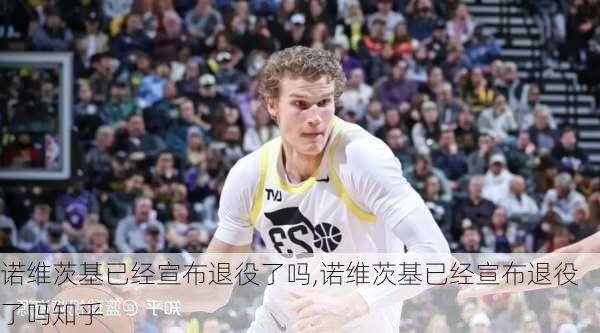 诺维茨基已经宣布退役了吗,诺维茨基已经宣布退役了吗知乎