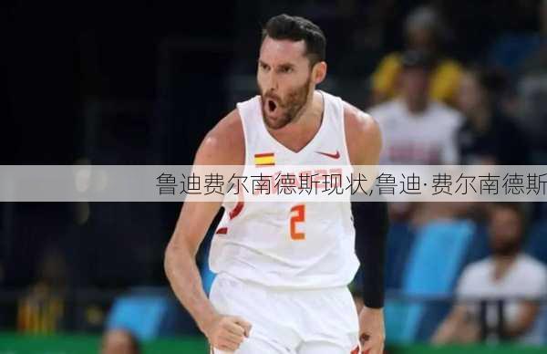 鲁迪费尔南德斯现状,鲁迪·费尔南德斯