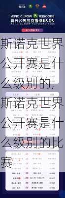 斯诺克世界公开赛是什么级别的,斯诺克世界公开赛是什么级别的比赛