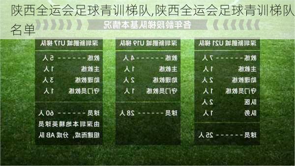 陕西全运会足球青训梯队,陕西全运会足球青训梯队名单