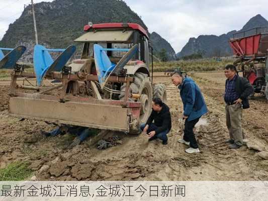 最新金城江消息,金城江今日新闻