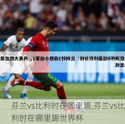 芬兰vs比利时在哪里踢,芬兰vs比利时在哪里踢世界杯