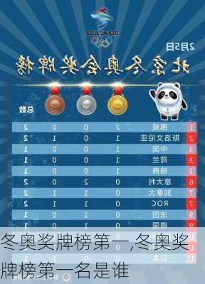 冬奥奖牌榜第一,冬奥奖牌榜第一名是谁