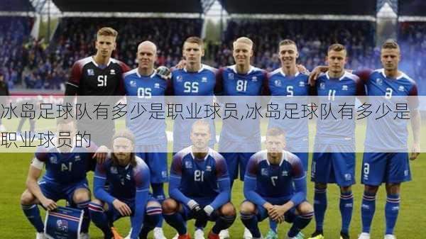 冰岛足球队有多少是职业球员,冰岛足球队有多少是职业球员的