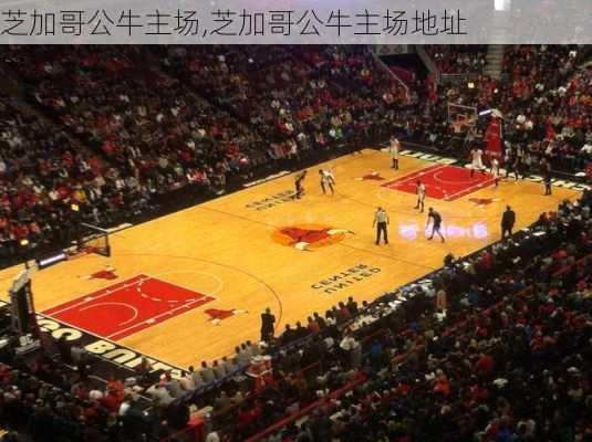芝加哥公牛主场,芝加哥公牛主场地址