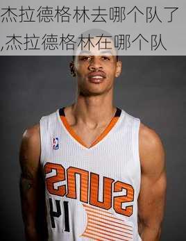 杰拉德格林去哪个队了,杰拉德格林在哪个队