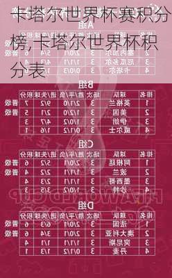 卡塔尔世界杯赛积分榜,卡塔尔世界杯积分表
