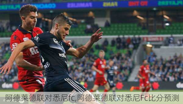 阿德莱德联对悉尼fc,阿德莱德联对悉尼Fc比分预测