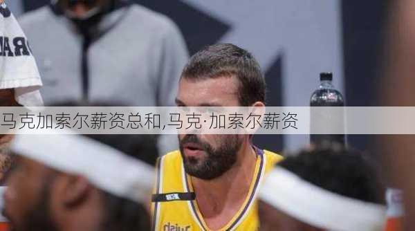 马克加索尔薪资总和,马克·加索尔薪资