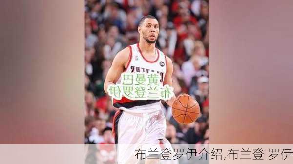 布兰登罗伊介绍,布兰登 罗伊