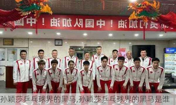 孙颖莎乒乓球界的黑马,孙颖莎乒乓球界的黑马是谁