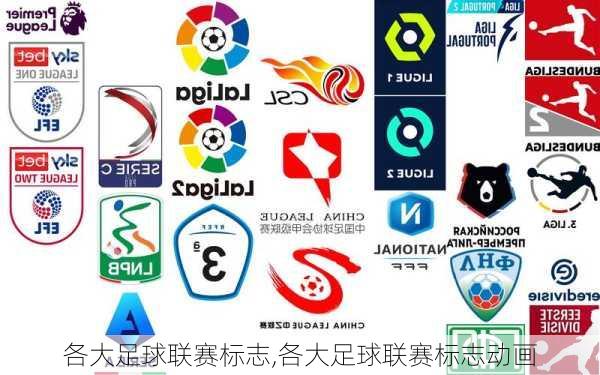 各大足球联赛标志,各大足球联赛标志动画
