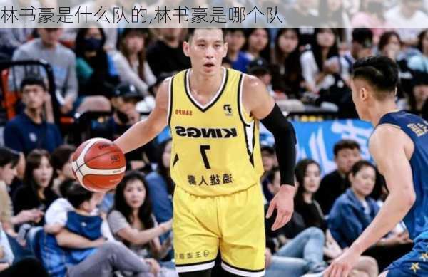 林书豪是什么队的,林书豪是哪个队