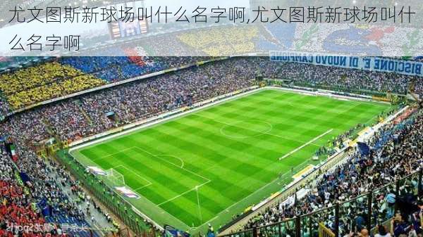 尤文图斯新球场叫什么名字啊,尤文图斯新球场叫什么名字啊