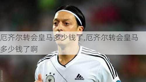 厄齐尔转会皇马多少钱了,厄齐尔转会皇马多少钱了啊