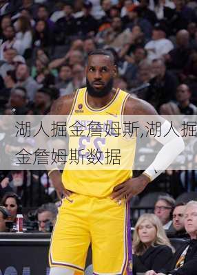 湖人掘金詹姆斯,湖人掘金詹姆斯数据